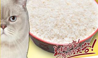 猫牙米是大米吗 猫牙米是什么米